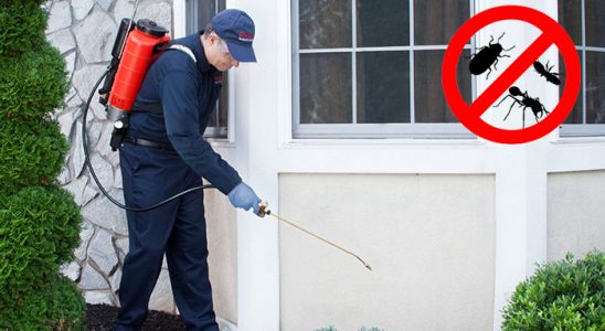 Rize Karınca İlaçlama böcek ilaçlama ve haşere kontrolü — ilaclama-tr.com